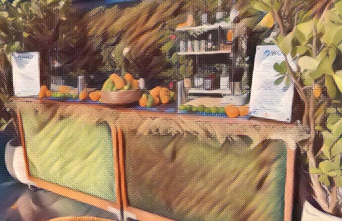 A long outdoor bar dressed with fresh oranges and a back-bar shelf of glassware at a garden event.