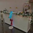 Load image into Gallery viewer, The Hampton LED Bar
