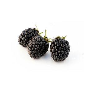 Fresh Blackberries 6oz Pack