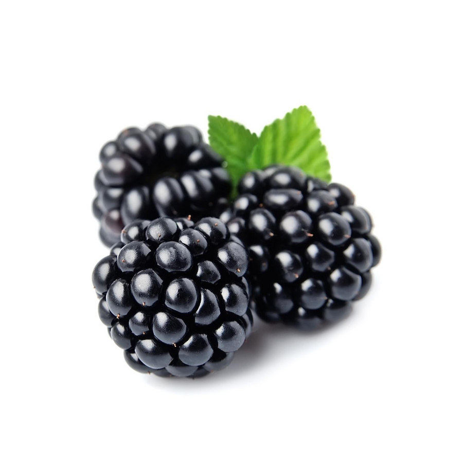 Fresh Blackberries 6oz Pack